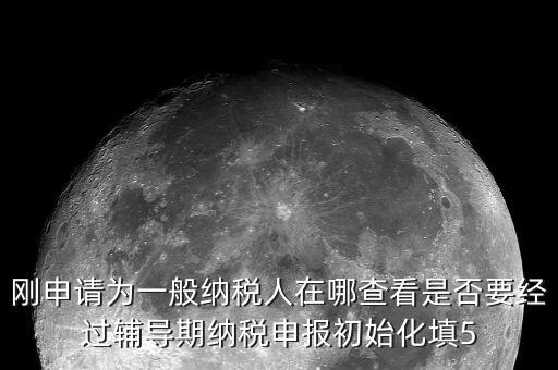 剛申請為一般納稅人在哪查看是否要經(jīng)過輔導(dǎo)期納稅申報初始化填5