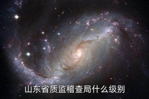 稽查局什么級(jí)別，山東省質(zhì)監(jiān)稽查局什么級(jí)別