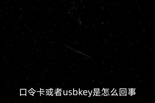 未插usbkey什么意思，口令卡或者usbkey是怎么回事