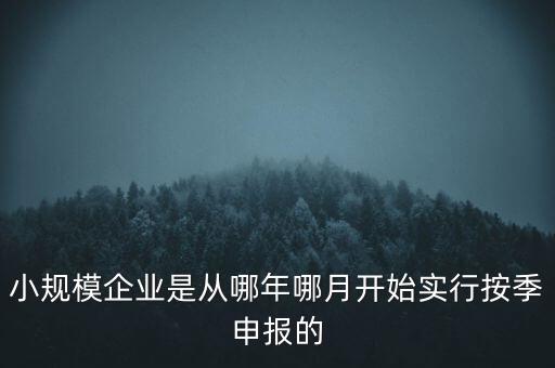 小規(guī)模企業(yè)是從哪年哪月開(kāi)始實(shí)行按季申報(bào)的