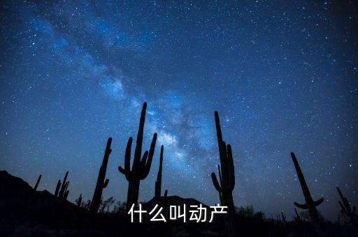 什么是動產(chǎn)登記表，什么叫動產(chǎn)