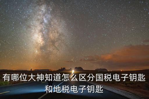 國稅電子鑰匙是什么，稅務密鑰是什么東西是數(shù)字證書嗎