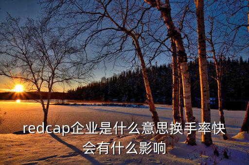 大企業(yè)局是什么意思，廣東省地稅網(wǎng)上的財(cái)務(wù)報(bào)表中的大企業(yè)局?jǐn)?shù)據(jù)報(bào)送是指什么