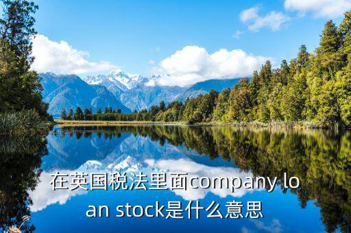 英國出國稅 是什么意思，在英國稅法里面company loan stock是什么意思