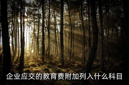 教育費(fèi)附加干什么，教育費(fèi)附加代表什么意思