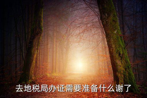 地稅局辦理什么，地稅局開發(fā)票需要辦什么手續(xù)