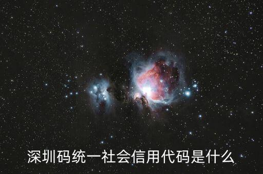 深圳碼統(tǒng)一社會信用代碼是什么