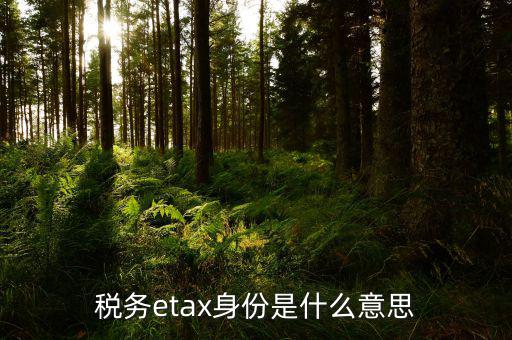 稅務(wù)信息化管理師是什么意思，稅務(wù)etax身份是什么意思