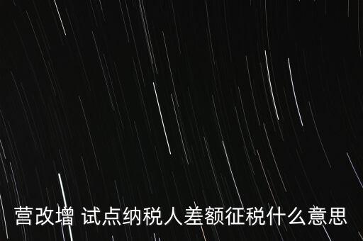 營改增 試點納稅人差額征稅什么意思