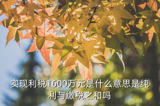 實現(xiàn)利稅1600萬元是什么意思是純利與繳稅之和嗎