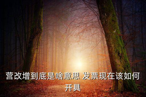 營(yíng)改增到底是啥意思 發(fā)票現(xiàn)在該如何開具