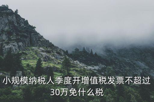 小規(guī)模納稅人季度開增值稅發(fā)票不超過30萬免什么稅