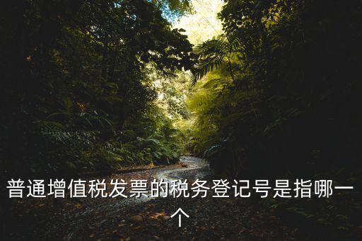 普通增值稅發(fā)票的稅務(wù)登記號(hào)是指哪一個(gè)