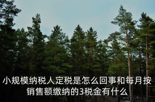 小規(guī)模納稅人定稅是怎么回事和每月按銷(xiāo)售額繳納的3稅金有什么