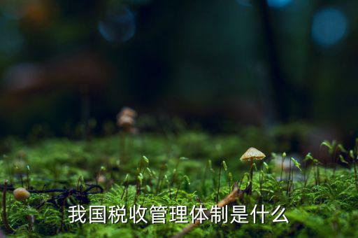 我國稅收管理體制是什么