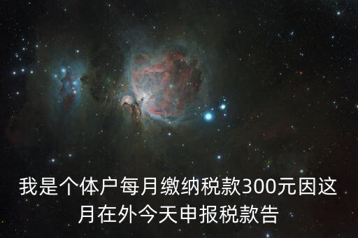 我是個體戶每月繳納稅款300元因這月在外今天申報稅款告