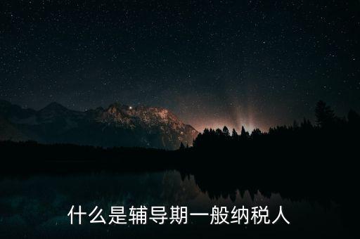 什么是輔導(dǎo)期一般納稅人