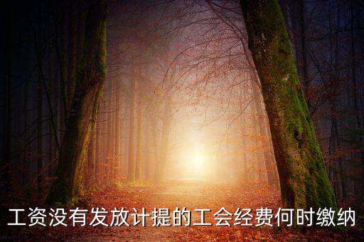 工會(huì)經(jīng)費(fèi)一般什么時(shí)候交，工資沒(méi)有發(fā)放計(jì)提的工會(huì)經(jīng)費(fèi)何時(shí)繳納