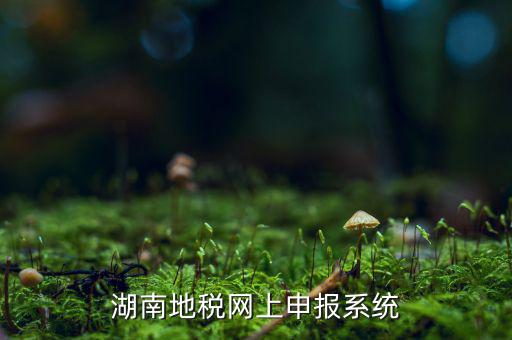 湖南省的地稅報稅軟件是什么，湖南地稅網(wǎng)上申報系統(tǒng)