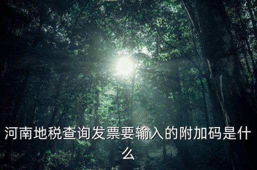 河南發(fā)票密碼是什么樣的，河南地稅查詢發(fā)票要輸入的附加碼是什么