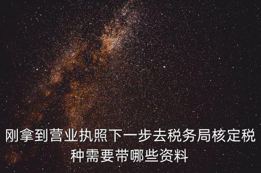 剛拿到營業(yè)執(zhí)照下一步去稅務(wù)局核定稅種需要帶哪些資料