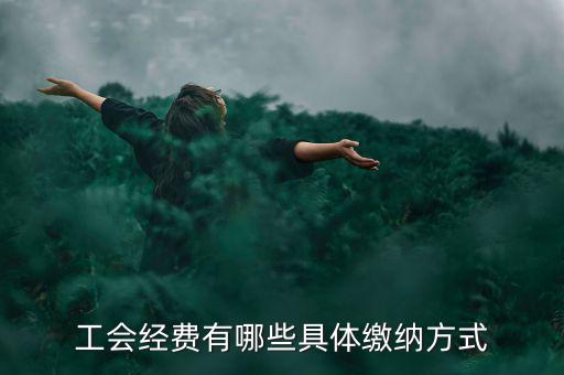 工會(huì)經(jīng)費(fèi)有哪些具體繳納方式