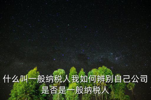 什么叫一般納稅人我如何辨別自己公司是否是一般納稅人