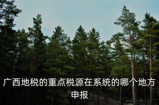 廣西地稅網(wǎng)是什么，進入廣西地稅網(wǎng)后為什么網(wǎng)上辦稅大廳會進不去