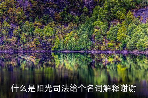 什么是陽(yáng)光司法給個(gè)名詞解釋謝謝