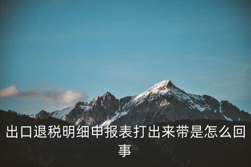 出口退稅明細(xì)申報(bào)表打出來帶是怎么回事