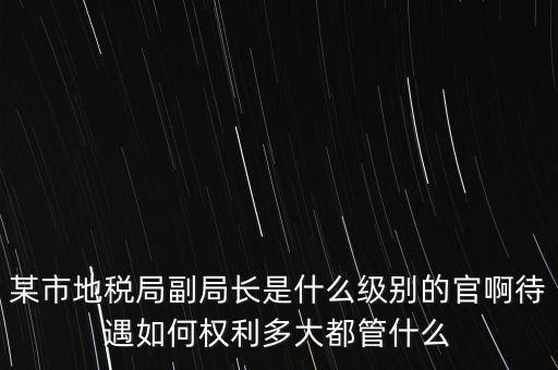 某市地稅局副局長(zhǎng)是什么級(jí)別的官啊待遇如何權(quán)利多大都管什么