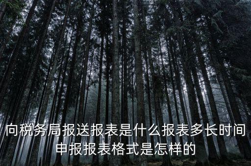 向稅務(wù)局報送報表是什么報表多長時間申報報表格式是怎樣的