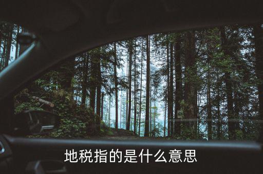 地稅指的是什么意思