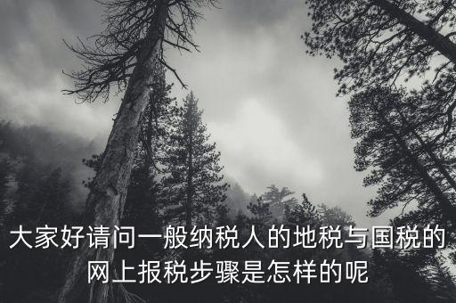 地稅用戶名是什么河北，我是新手如何使用河北地稅網(wǎng)網(wǎng)上報稅知道的老師請告知謝了