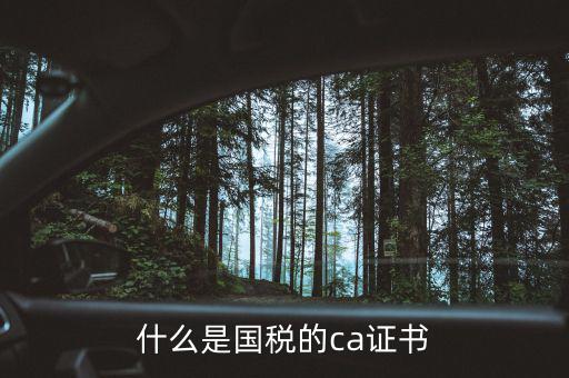 ca稅務(wù)數(shù)字證書是什么，什么是國稅的ca證書