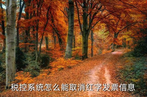 撤銷紅字信息表需要什么，我是購貨方開具紅字信息表錯誤去稅務(wù)局撤銷信息表查看描寫