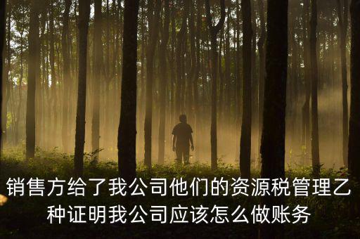 銷售方給了我公司他們的資源稅管理乙種證明我公司應(yīng)該怎么做賬務(wù)