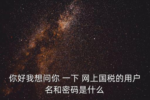 你好我想問你 一下 網(wǎng)上國(guó)稅的用戶名和密碼是什么