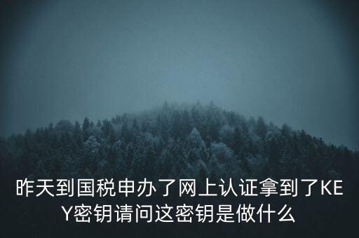 稅務(wù)認證密碼是什么，昨天到國稅申辦了網(wǎng)上認證拿到了KEY密鑰請問這密鑰是做什么