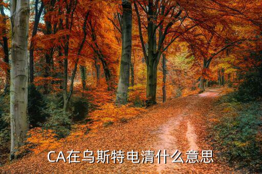 ca控件什么意思，CA在烏斯特電清什么意思