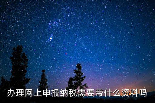 辦理網(wǎng)上申報納稅需要帶什么資料嗎