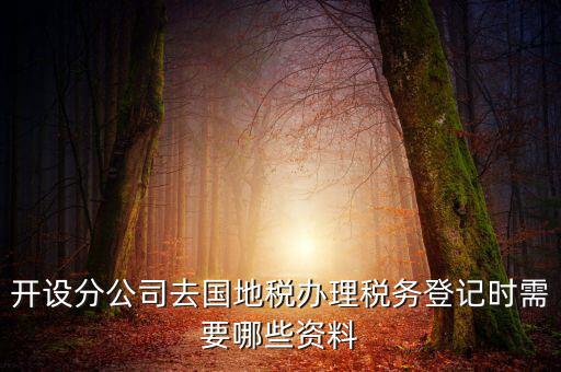 分公司地稅辦理需要什么材料，辦理分公司的稅務(wù)登記證需要準(zhǔn)備哪些資料