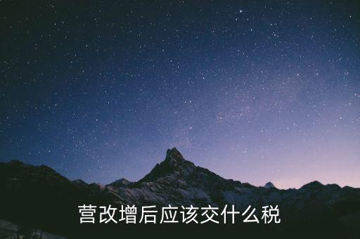 營(yíng)改增后應(yīng)該交什么稅