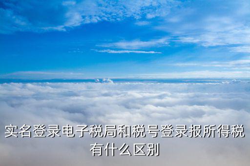 實名登錄電子稅局和稅號登錄報所得稅有什么區(qū)別