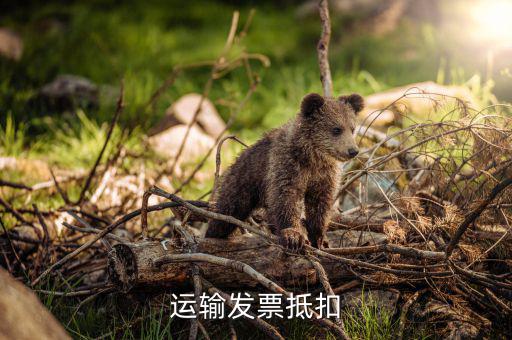 鐵路運輸發(fā)票如何抵扣，運費發(fā)票如何抵扣