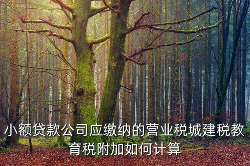 小額貸款公司如何繳稅，小額貸款公司的營(yíng)業(yè)稅怎么算 sitewenwensosocom