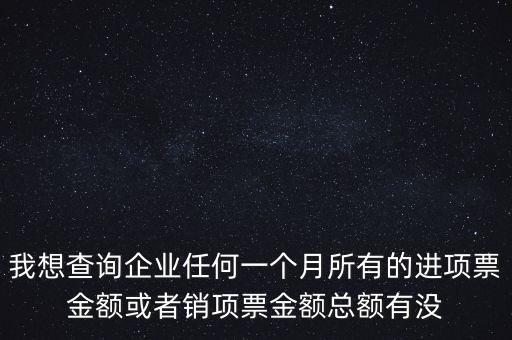 我想查詢企業(yè)任何一個月所有的進(jìn)項票金額或者銷項票金額總額有沒