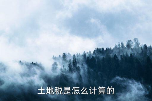 土地稅是怎么計算的