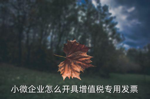 小微企業(yè)怎么開具增值稅專用發(fā)票