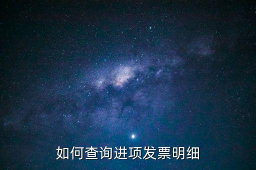 如何查詢進(jìn)項發(fā)票明細(xì)